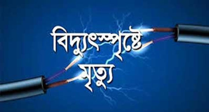 চাঁপাইনবাবগঞ্জে বিদ্যূৎস্পৃষ্টে কৃষকের মৃত্যু